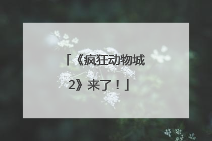 《疯狂动物城2》来了！