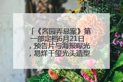 《酱园弄悬案》第一部定档6月21日，预告片与海报曝光，易烊千玺光头造型饰演“周瞎子”