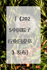 《2025中国粽子行业白皮书》发布