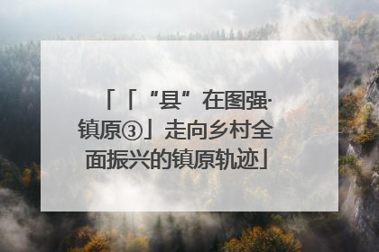 「“县”在图强·镇原③」走向乡村全面振兴的镇原轨迹