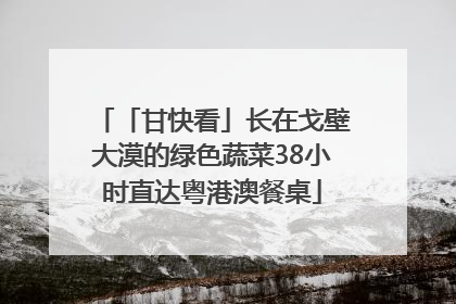 「甘快看」长在戈壁大漠的绿色蔬菜38小时直达粤港澳餐桌