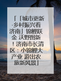 「城市更新·乡村振兴看济南」锦鲤跃金 沃野图新！济南市长清区：小锦鲤大产业 游出农旅新风景