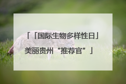 「国际生物多样性日」美丽贵州“推荐官”