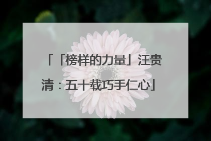 「榜样的力量」汪贵清：五十载巧手仁心
