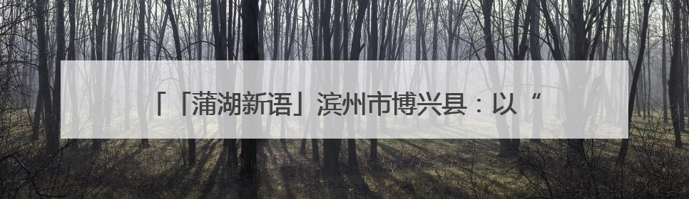 「蒲湖新语」滨州市博兴县：以“小切口”做好数字惠民“大文章”