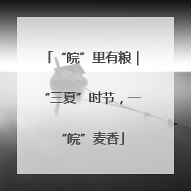 “皖”里有粮｜“三夏”时节，一“皖”麦香