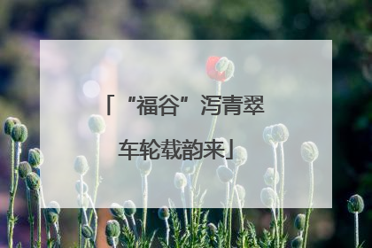 “福谷”泻青翠 车轮载韵来
