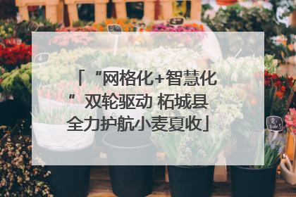 “网格化+智慧化”双轮驱动 柘城县全力护航小麦夏收