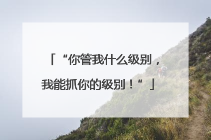“你管我什么级别，我能抓你的级别！”