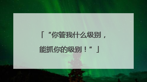 “你管我什么级别，能抓你的级别！”