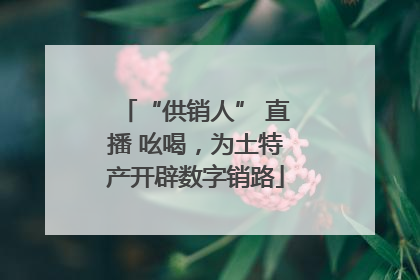 “供销人” 直播 吆喝，为土特产开辟数字销路