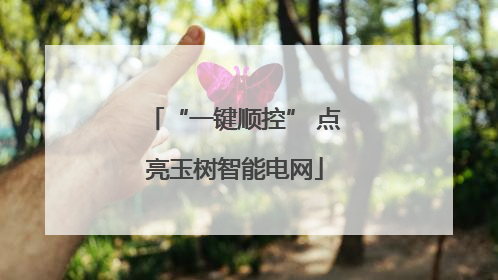 “一键顺控” 点亮玉树智能电网