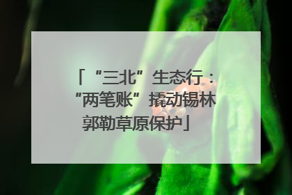 “三北”生态行：“两笔账”撬动锡林郭勒草原保护