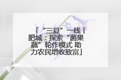 “三夏”一线丨肥城：探索“菌果蔬”轮作模式 助力农民增收致富