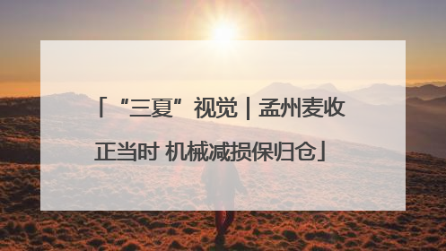 “三夏”视觉｜孟州麦收正当时 机械减损保归仓