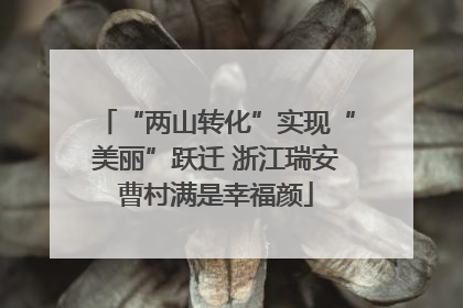 “两山转化”实现“美丽”跃迁 浙江瑞安曹村满是幸福颜