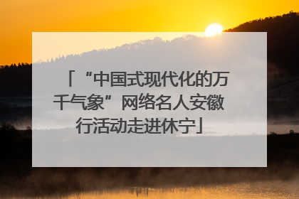 “中国式现代化的万千气象”网络名人安徽行活动走进休宁