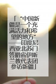 “中国新疆是一个充满活力和希望的地方”——印度尼西亚北苏门答腊省伊斯兰教代表团参访新疆