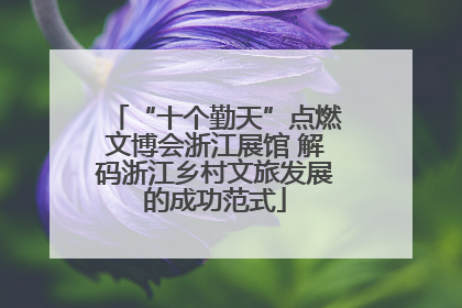 “十个勤天”点燃文博会浙江展馆 解码浙江乡村文旅发展的成功范式