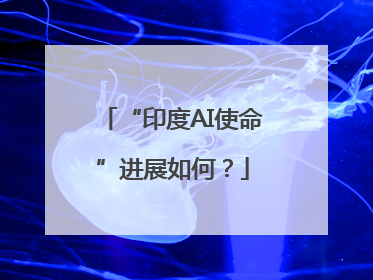 “印度AI使命”进展如何？