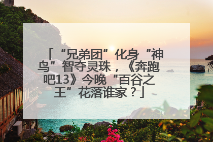 “兄弟团”化身“神鸟”智夺灵珠，《奔跑吧13》今晚“百谷之王”花落谁家？