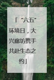 “六五”环境日，大兴廊坊携手共赴生态之约