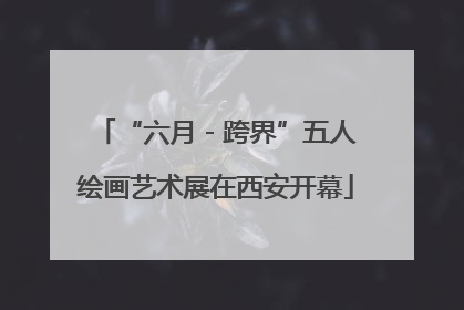 “六月 - 跨界”五人绘画艺术展在西安开幕