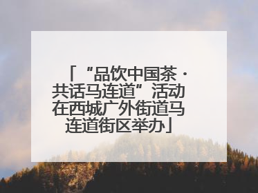 “品饮中国茶・共话马连道”活动在西城广外街道马连道街区举办