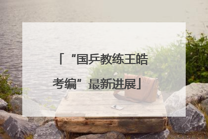 “国乒教练王皓考编”最新进展