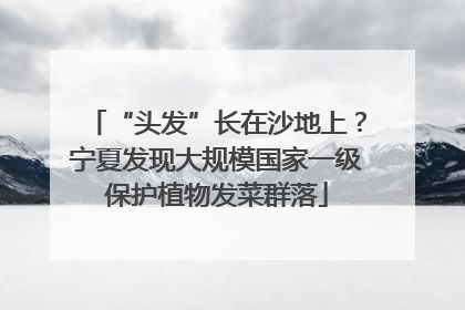“头发”长在沙地上？宁夏发现大规模国家一级保护植物发菜群落
