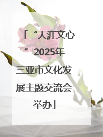 “天涯文心”2025年三亚市文化发展主题交流会举办