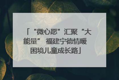 “微心愿”汇聚“大能量” 福建宁德情暖困境儿童成长路