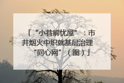 “小巷解忧屋”：市井烟火中织就基层治理“同心网”（图）