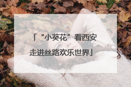 “小葵花”看西安走进丝路欢乐世界