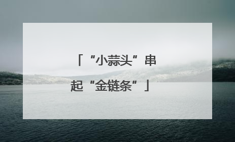 “小蒜头”串起“金链条”