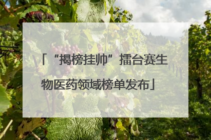 “揭榜挂帅”擂台赛生物医药领域榜单发布