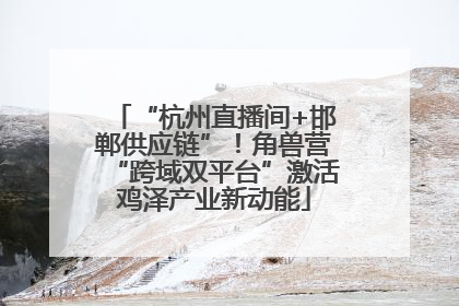 “杭州直播间+邯郸供应链”！角兽营“跨域双平台”激活鸡泽产业新动能