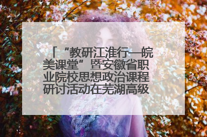 “教研江淮行—皖美课堂”暨安徽省职业院校思想政治课程研讨活动在芜湖高级职业技术学校举行