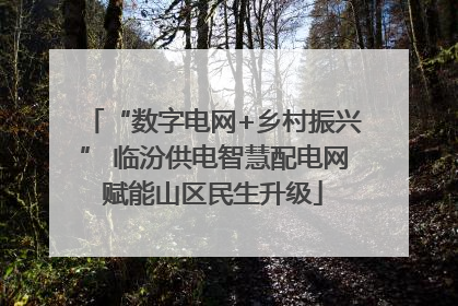 “数字电网+乡村振兴” 临汾供电智慧配电网赋能山区民生升级