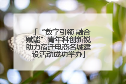 “数字引领 融合赋能”青年科创新锐助力宿迁电商名城建设活动成功举办