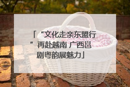 “文化走亲东盟行”再赴越南 广西邕剧粤韵展魅力