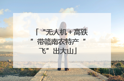 “无人机＋高铁”带赣南农特产“飞”出大山
