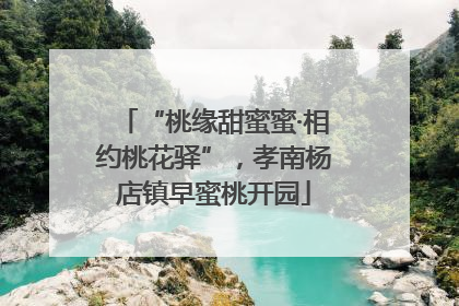 “桃缘甜蜜蜜·相约桃花驿”，孝南杨店镇早蜜桃开园