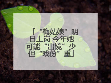 “梅姑娘”明日上岗 今年她可能“出镜”少但“戏份”重