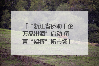 “浙江省侨助千企万品出海”启动 侨青“架桥”拓市场