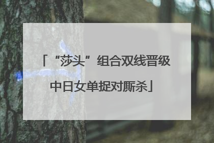 “莎头”组合双线晋级 中日女单捉对厮杀