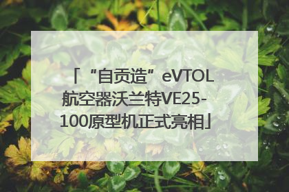 “自贡造”eVTOL航空器沃兰特VE25-100原型机正式亮相