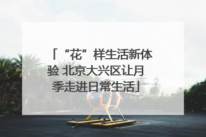 “花”样生活新体验 北京大兴区让月季走进日常生活