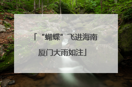 “蝴蝶”飞进海南 厦门大雨如注