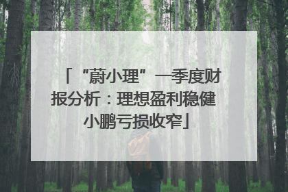 “蔚小理”一季度财报分析：理想盈利稳健 小鹏亏损收窄